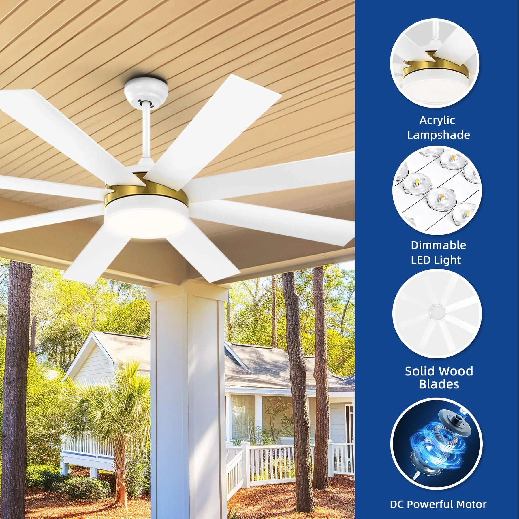 Dextrus 60 in Modern LED Outdoor/ Indoor Ceiling Fan with Remote Control